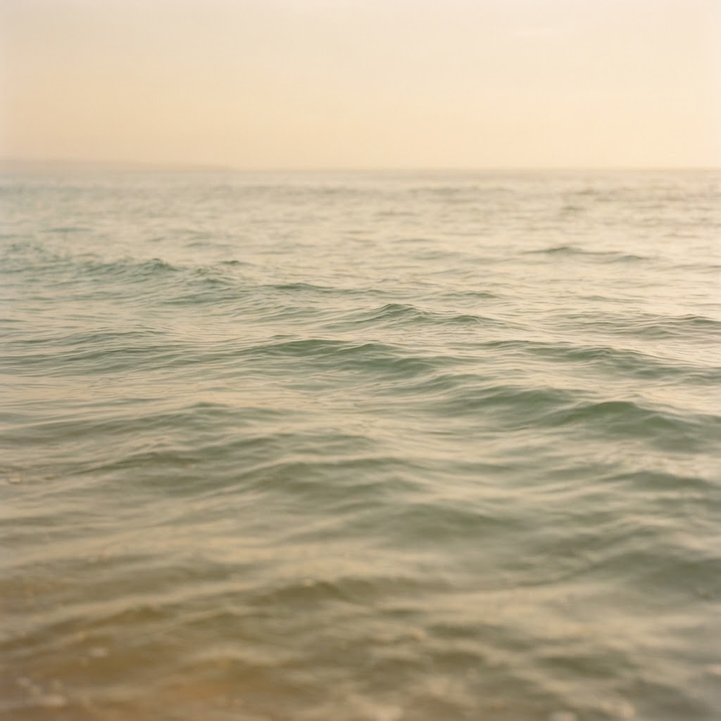 Calm ocean water at golden hour in soft sage and sand tones